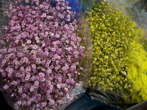 ラメ付きかすみ草|「花のかわむかい」　（大分県佐伯市の花屋）のブログ