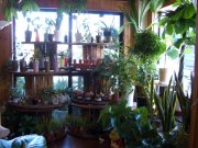 「花のかわむかい」　（大分県佐伯市）の花屋店舗写真2